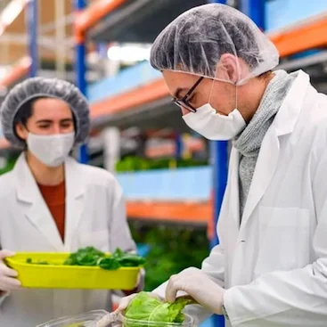 Impact Horizon   Blog